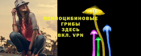 прущие крисы Мегион