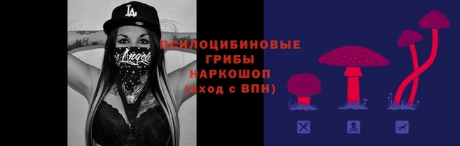 ешки Медвежьегорск
