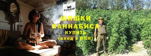 соль ск Михайлов