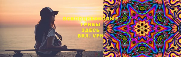 ешки Медвежьегорск