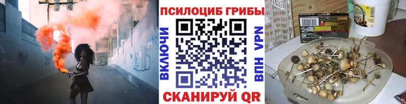 Галлюциногенные грибы MAGIC MUSHROOMS закладки Пошехонье