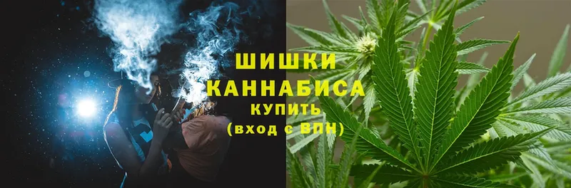 сколько стоит  Пошехонье  blacksprut сайт  Шишки марихуана SATIVA & INDICA 